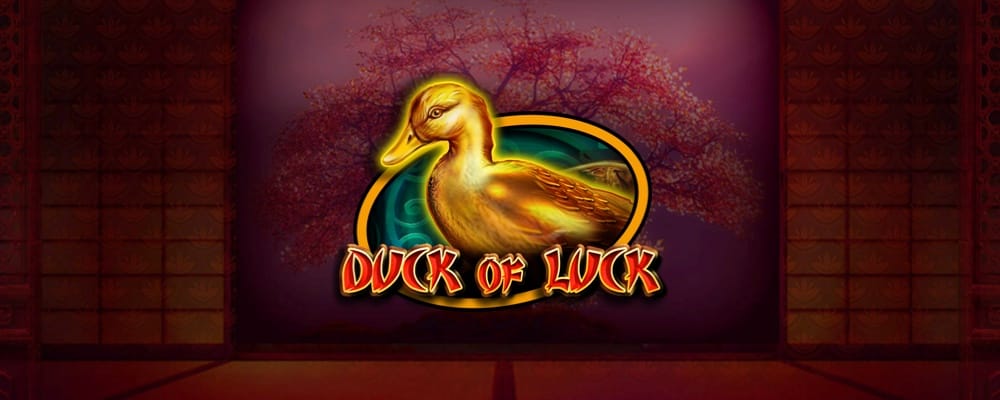 Duck Of Luck